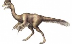 В США нашли пернатого динозавра